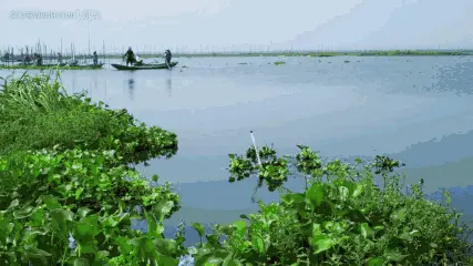 13276537-9f86dab0225a5b01.gif